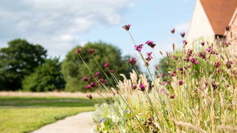 What to Expect From a Retreat With Us
