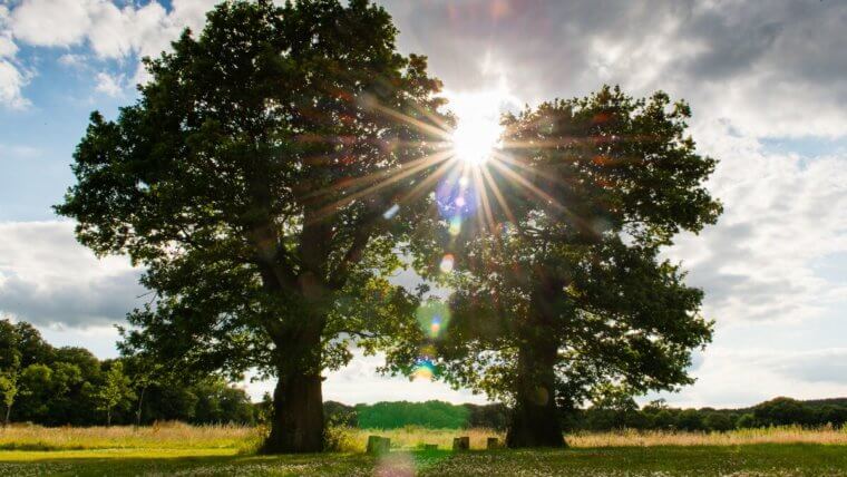 COVID-19 Update from Lisa, Our Retreat Founder