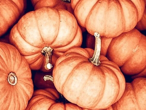 Cold Busting Pumpkin Soup Recipe